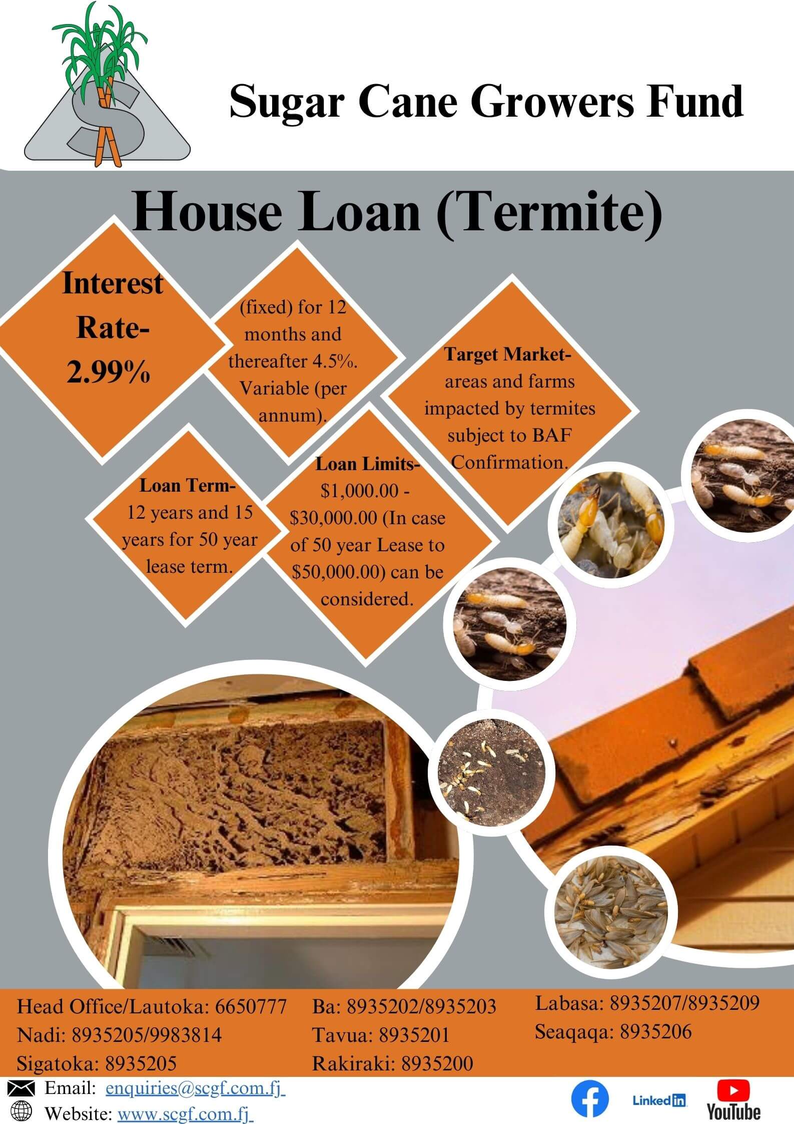 House Loan Termite